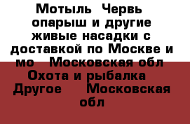 Мотыль. Червь, опарыш и другие живые насадки с доставкой по Москве и мо - Московская обл. Охота и рыбалка » Другое   . Московская обл.